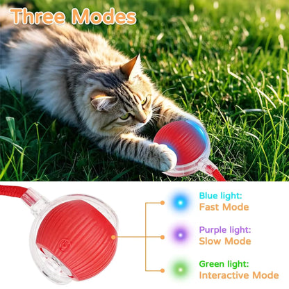 Minge Inteligentă pentru Animale – HappyPet™